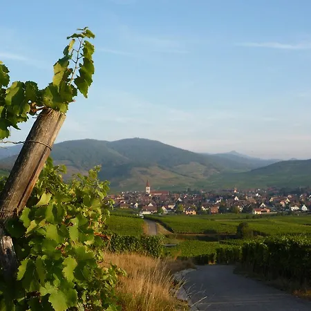 Kaefferkopf Ammerschwihr