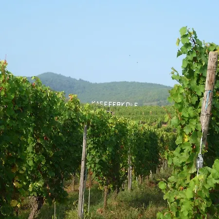 Kaefferkopf Ammerschwihr